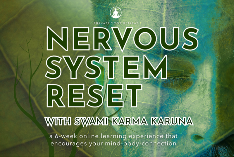 ONLINE by Anahata NZ   Nervous System Reset Course  with Swami Karma Karuna   Welcome to 'Nervous System Reset Course' — a 6-week online learning experience that encourages your mind-body connection. Note times NZT